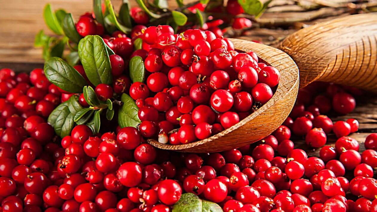 Cranberry for the treatment of prostatitis
